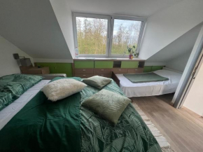Nice Accommodati on 5 minutes from the center